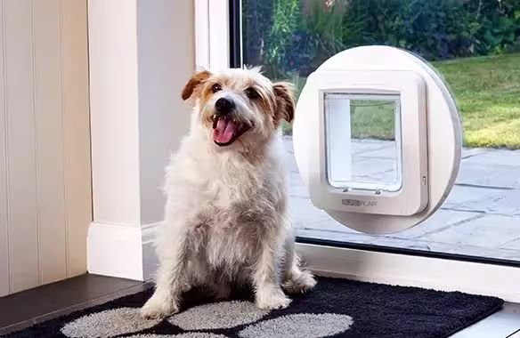 Cat Flap Installation Berkshire professional pet door fitting