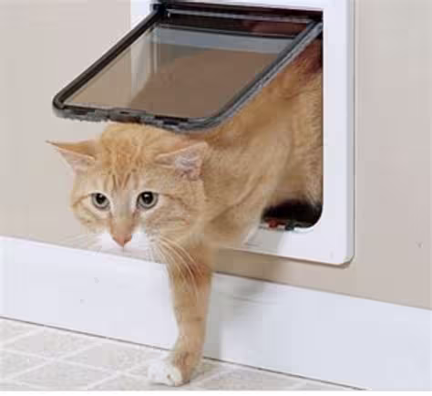 cat flap installation Bracknell with dog flap fitting, pet door services, and microchip cat flaps.